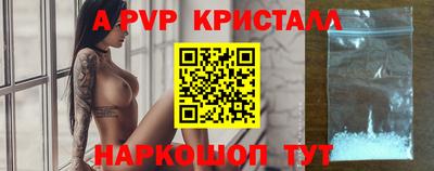 спиды Сланцы