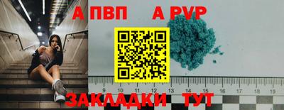 спиды Сланцы