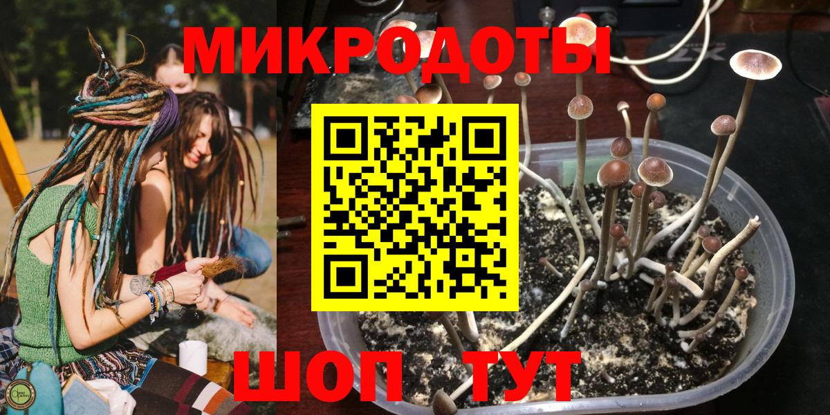 Галлюциногенные грибы прущие грибы  Псилоцибиновые грибы мухоморы  Октябрьский  Вход с VPN 