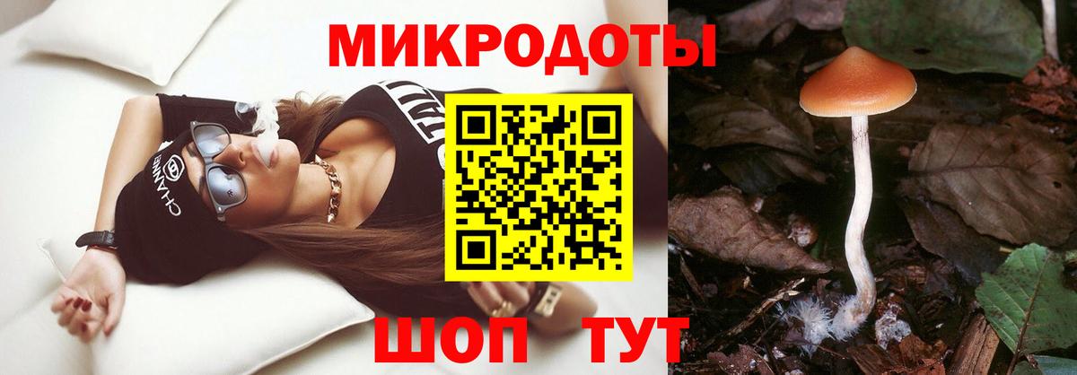 Псилоцибиновые грибы ЛСД Октябрьский